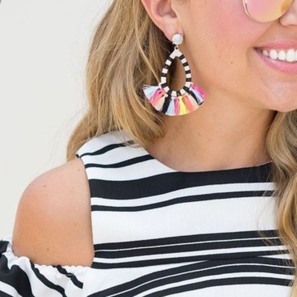 Wendy Nicole Designs Jewelry - LAST 1! Boho Preppy Multicolor Fringe Earrings